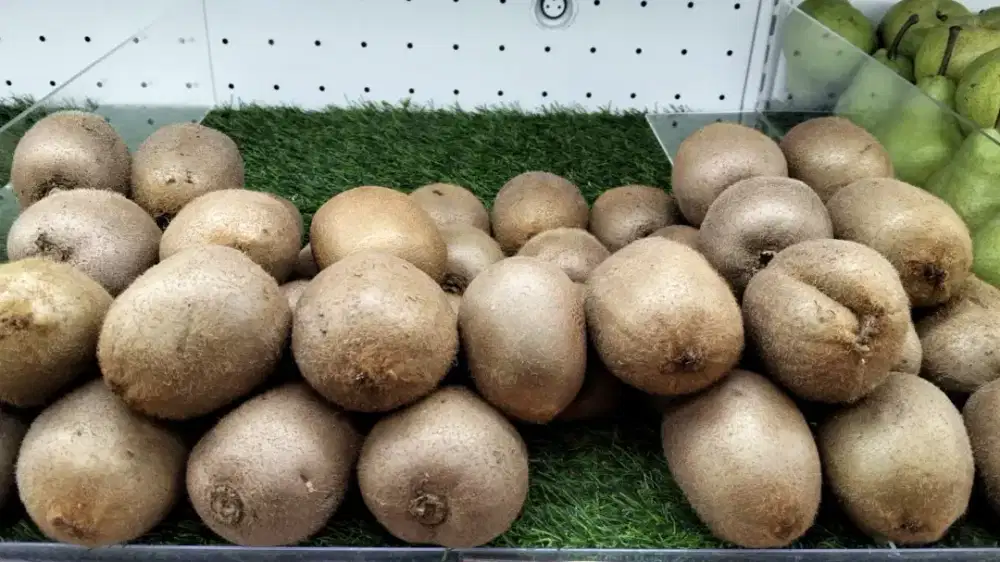 Dibutuhkan CAKE DECORATOR