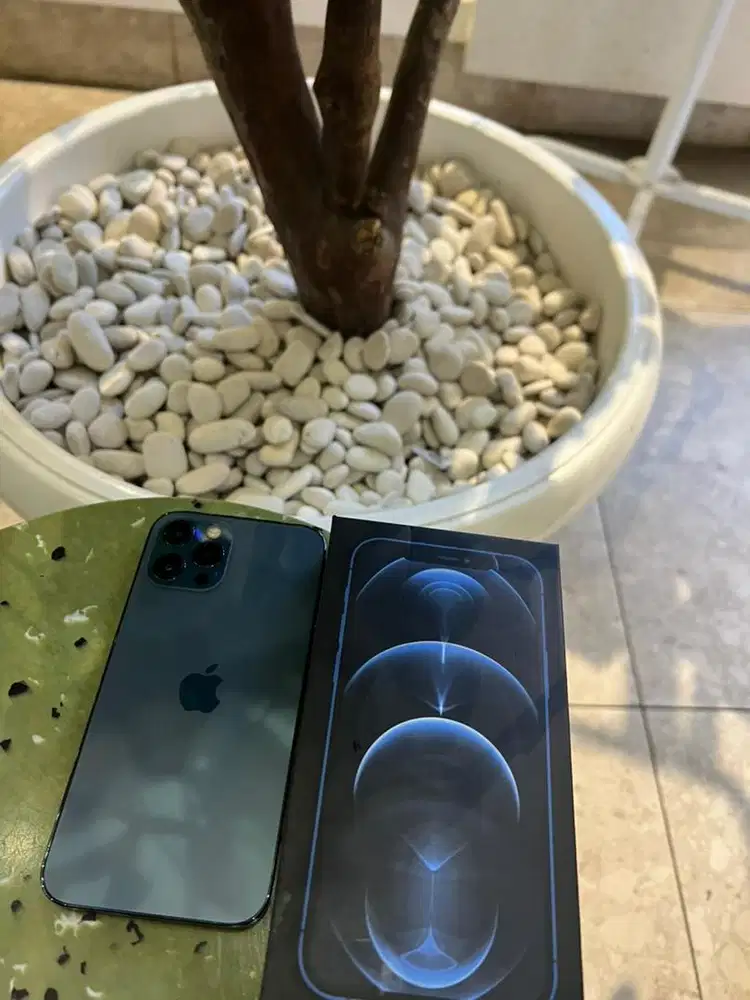 iphone 12 pro 128gb musim baru