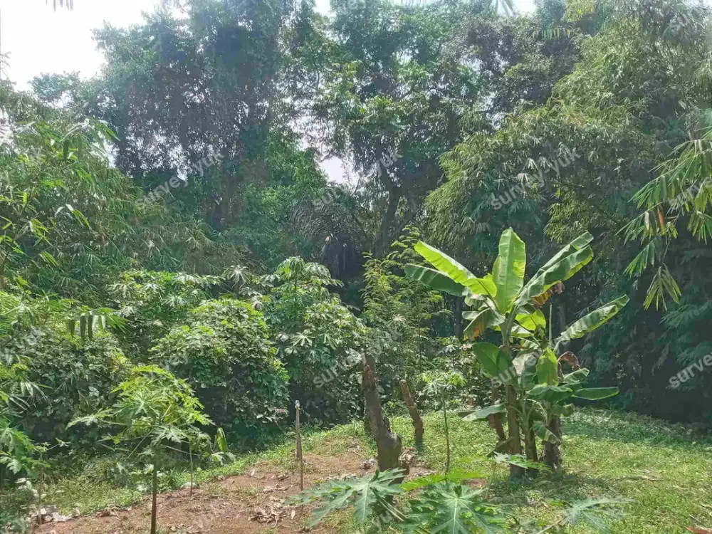 Tanah murah  Luas -+ 4300 m2 SHM ON Hand BSD