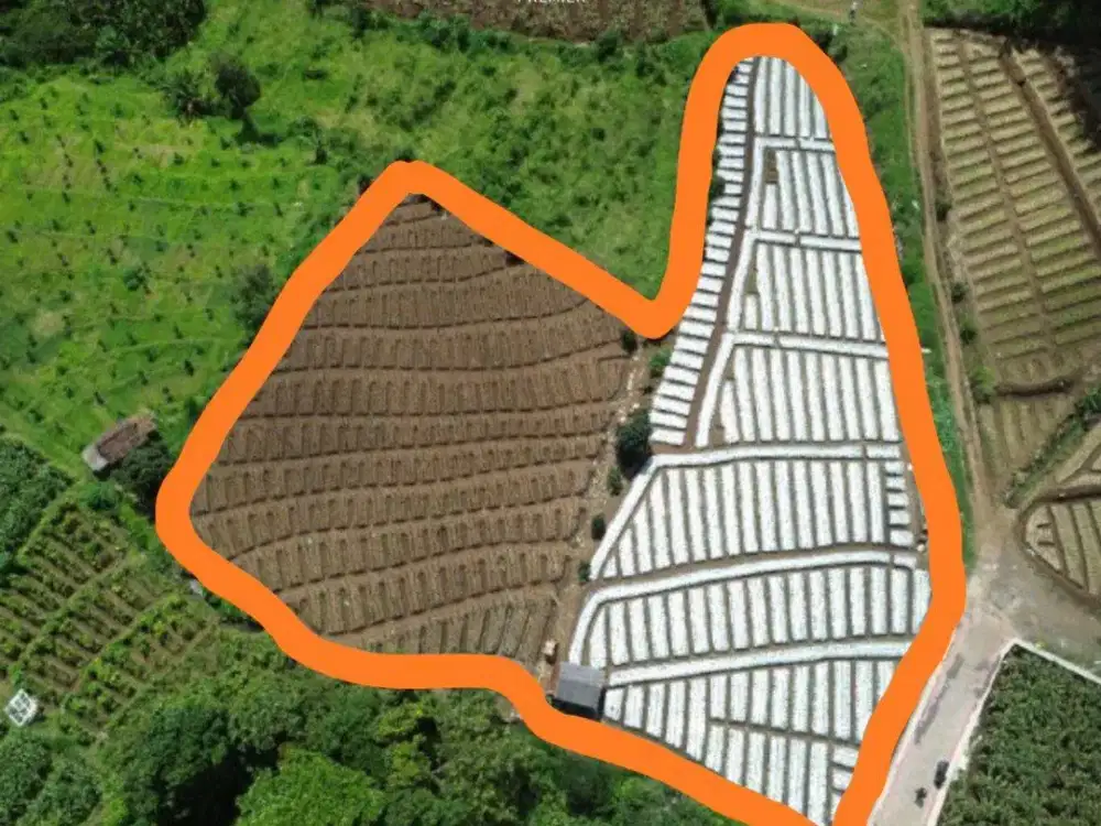 Dijual Tanah Luas Area Pertanian di Torongrejo, Batu