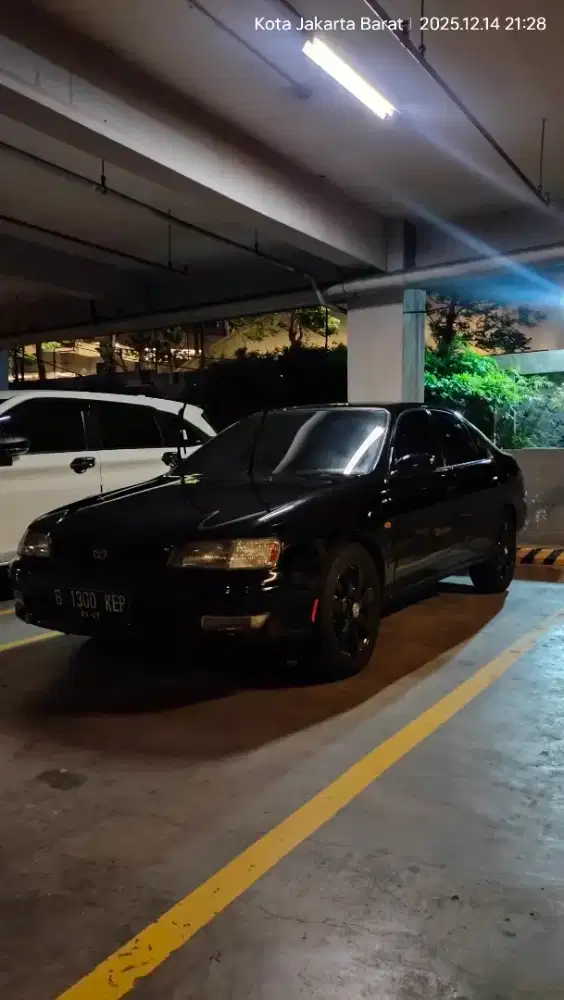 Corona Absolute 2.0 MT