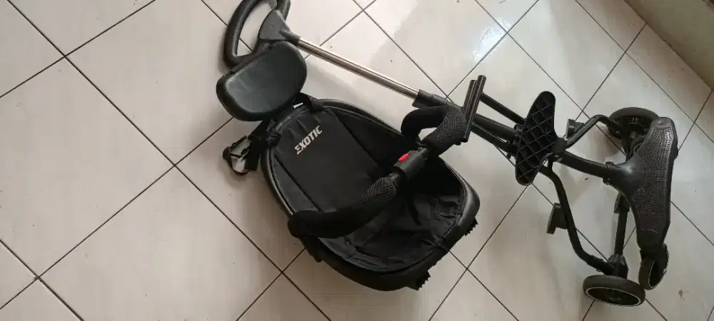 Kereta bayi exotic