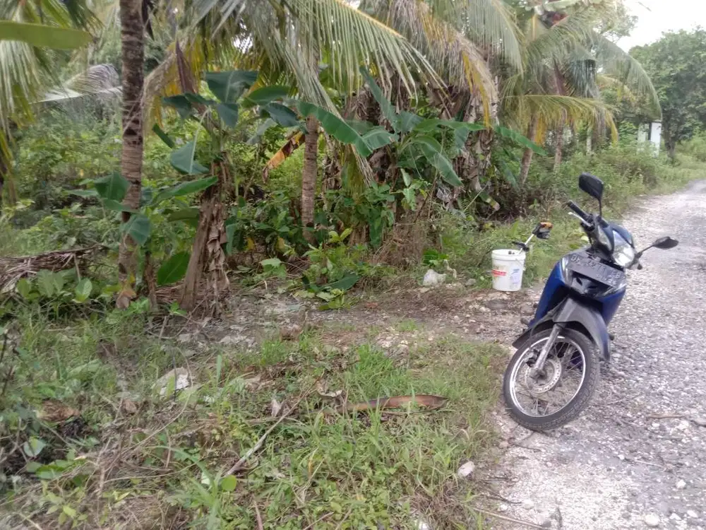 Jual Lahan tanah Cocok Untuk tempat Tinggal dan Usaha