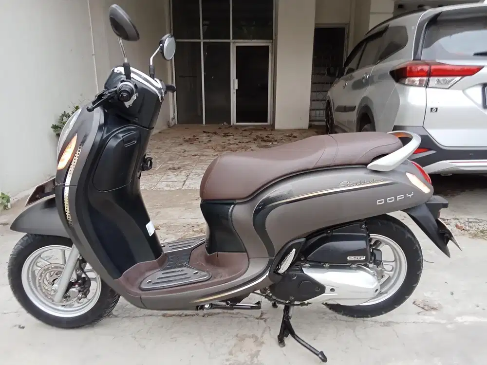 Scopy cayles warna brown