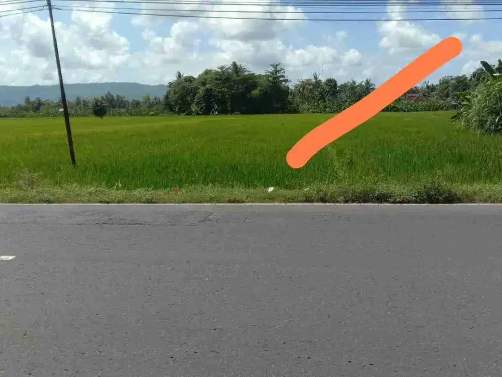 Jual Murah Tanah di Pinggir jalan utama Bakulan Imogiri Bantul Yogyakarta
