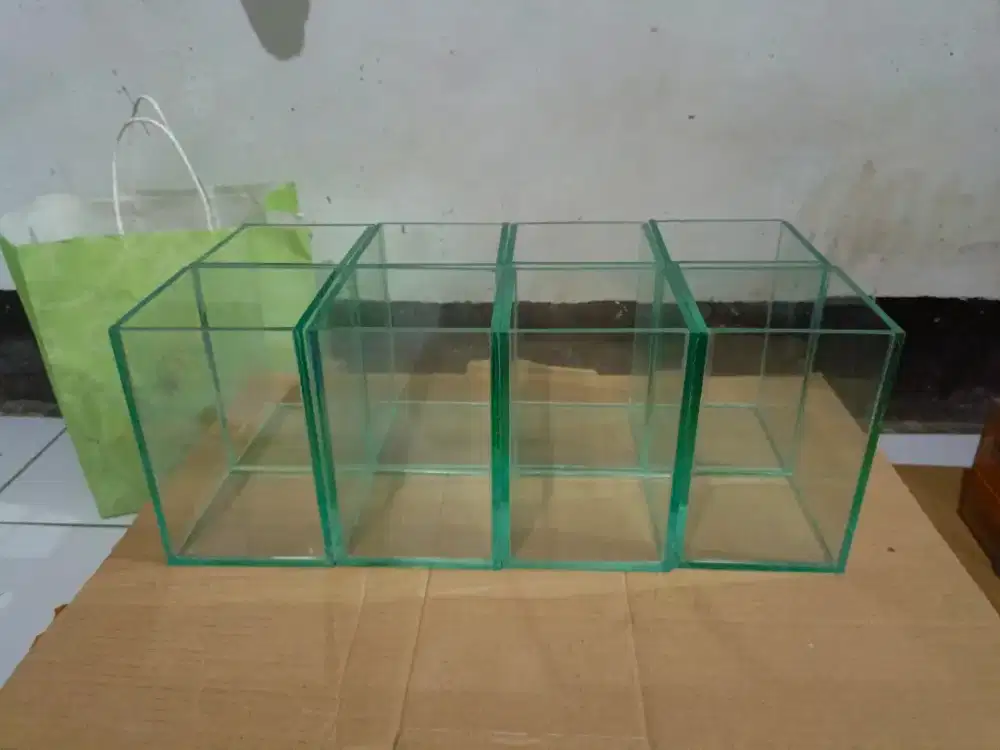 Akuarium soliter ikan cupang