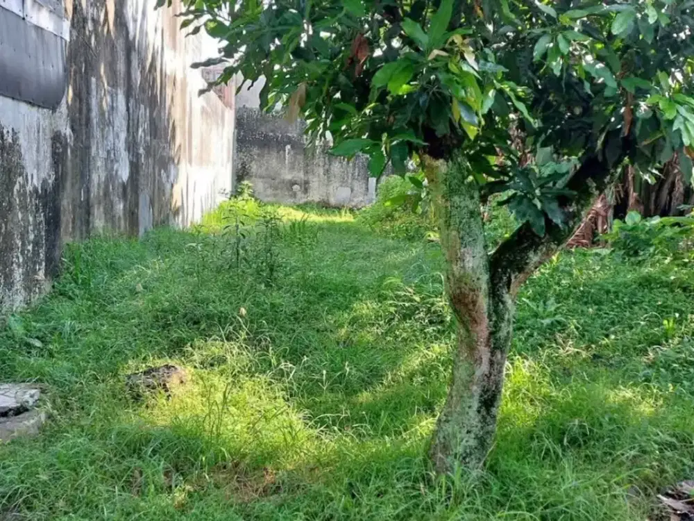TANAH LUAS 375M SAMPING ARAYA PERUM TELUK ETNA ARJOSARI