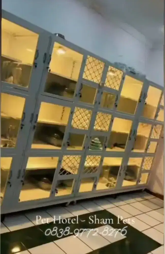 Pet hotel penitipan hewan kucing kelinci dll