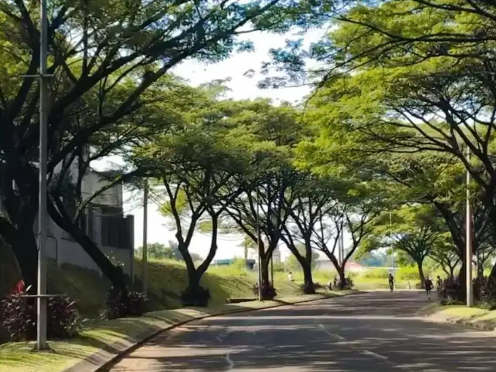 Tanah Kavling SHM Siap Bangun Di Citraland Utama International  Village Surabaya