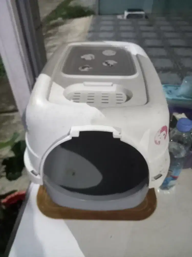 Rumah kucing bahagia