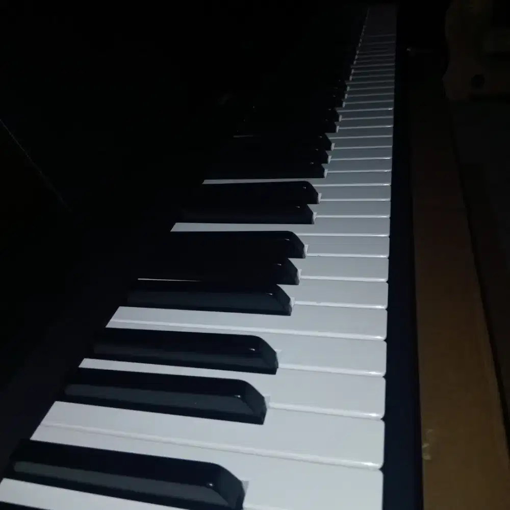 Digital Piano P-145BTB, 88 Tuts. Bekas