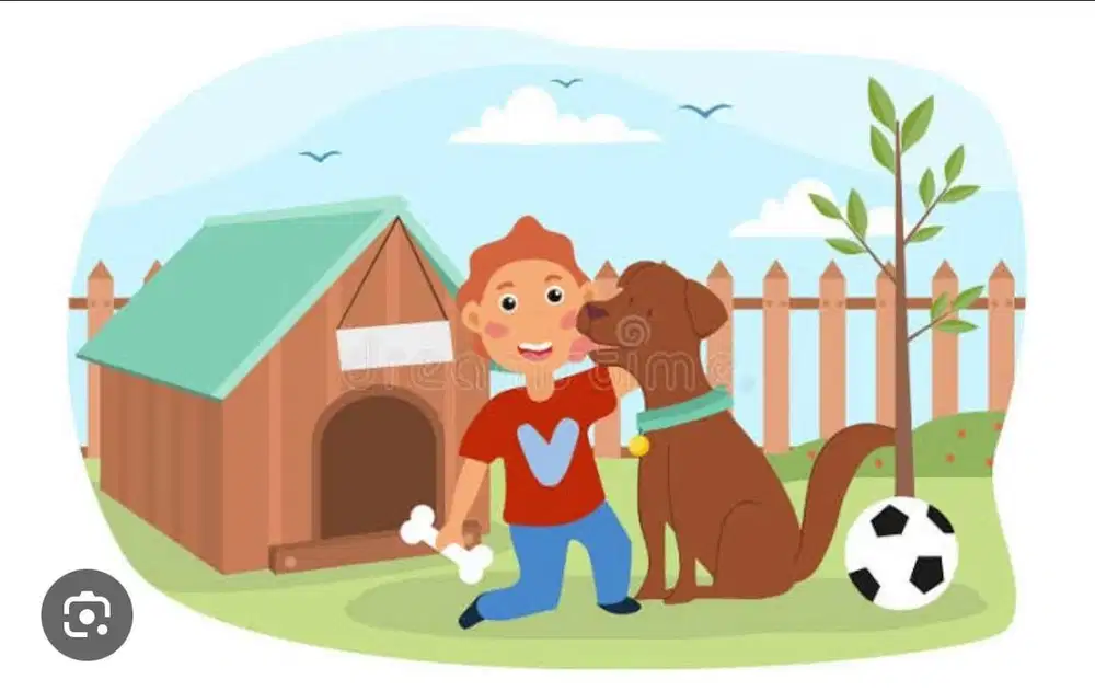 Lowongan Kerja dicari Kennel Boy yg bisa K9 Handler