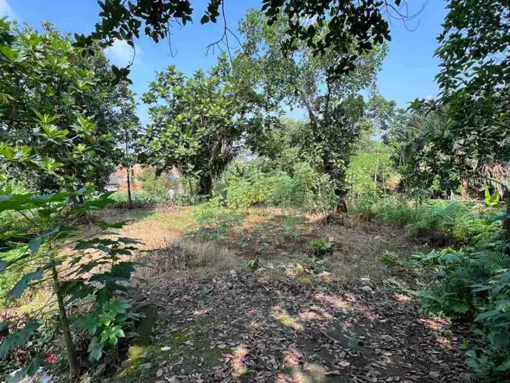 Dijual Tanah dibawah NJOP di Tanah Sareal Kota Bogor