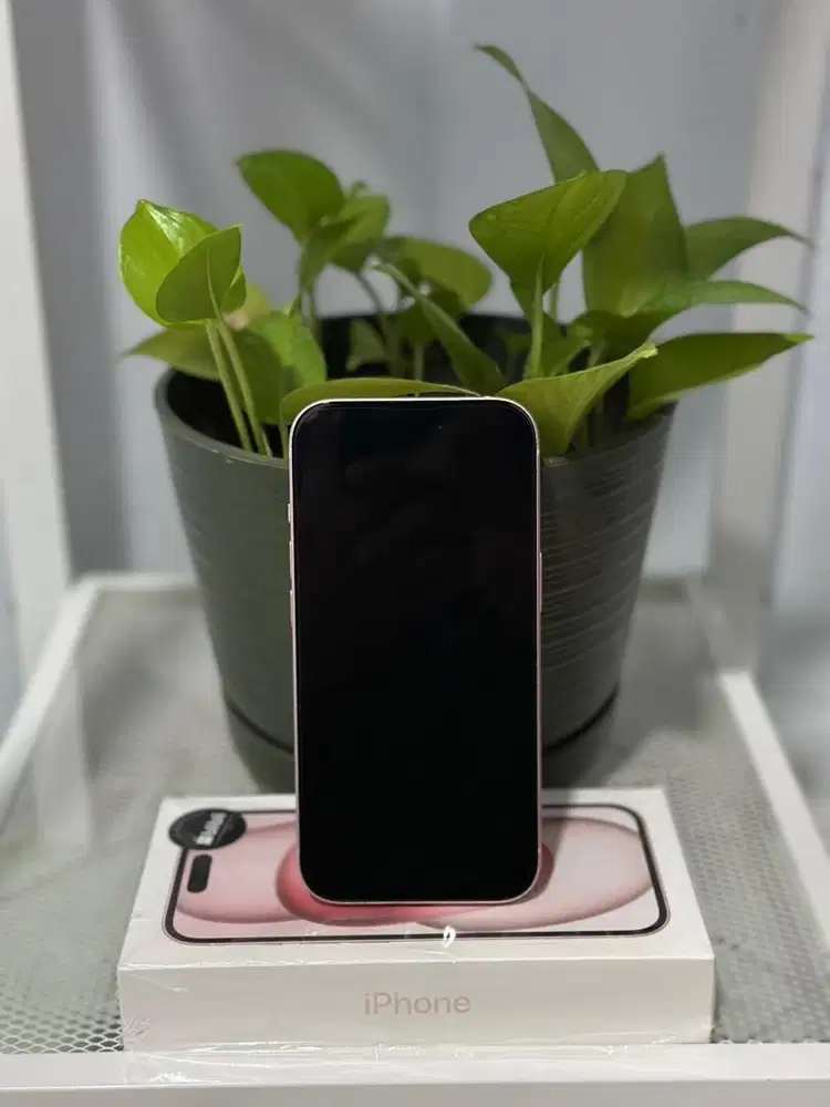 Iphone 15 Blibli 256gb resmi