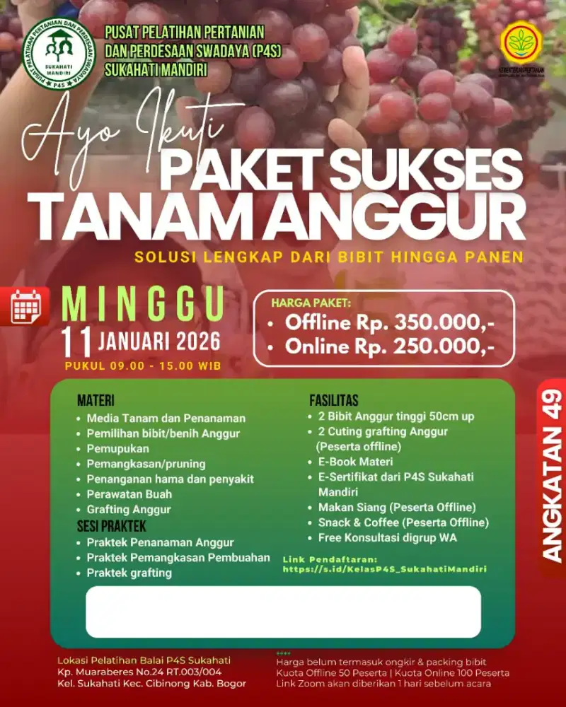 Pelatihan Budidaya Anggur Impor