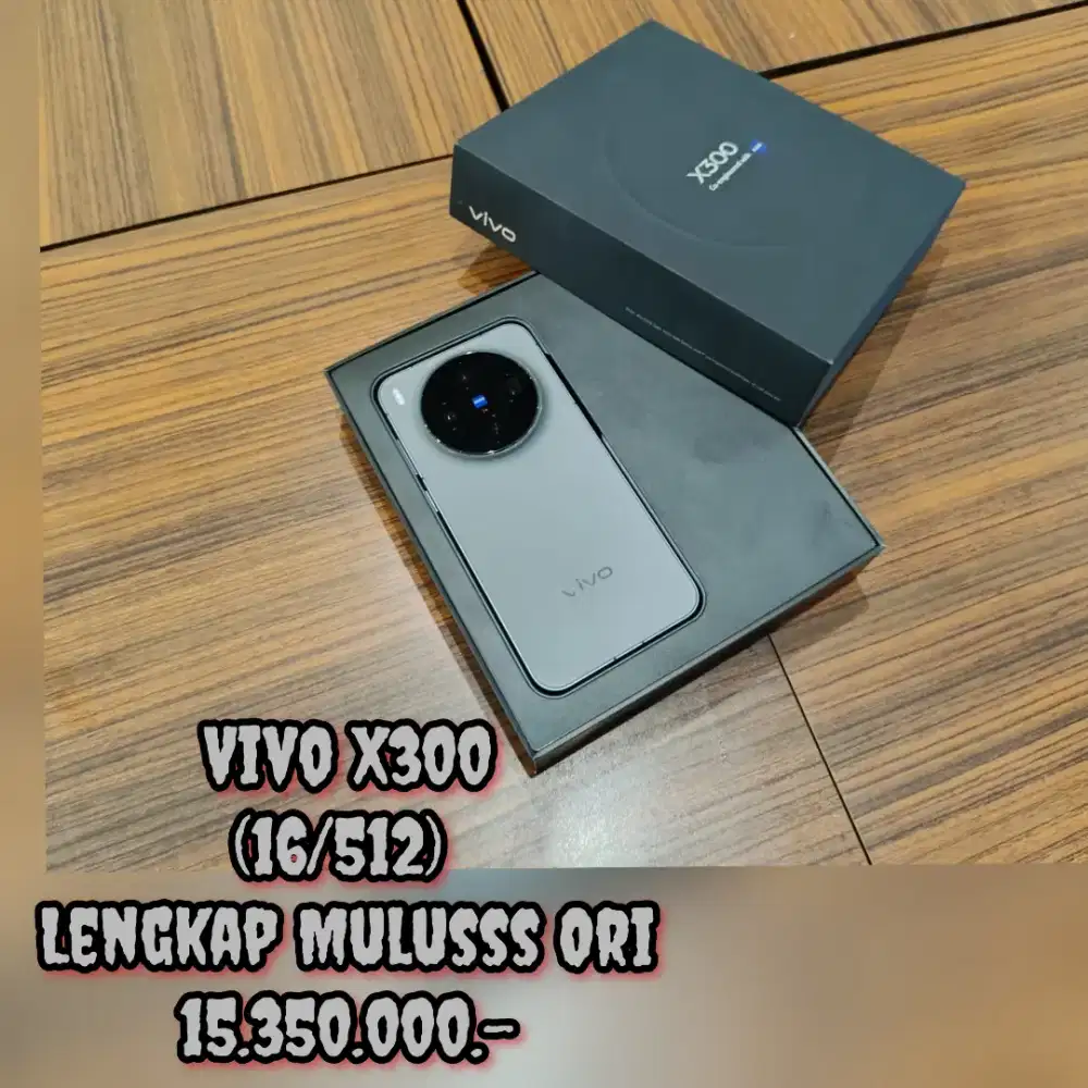Vivo X300 (16/512)