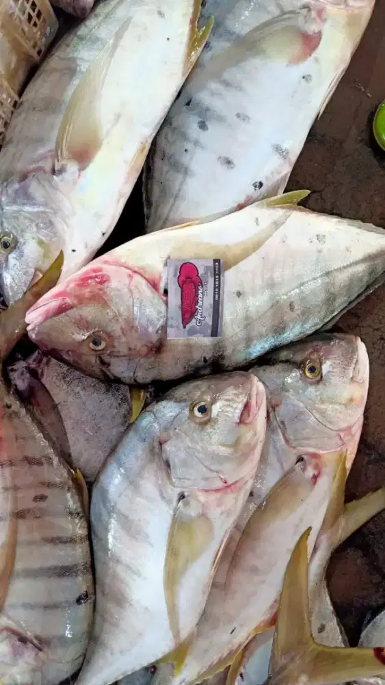 Membutuhkan karyawan