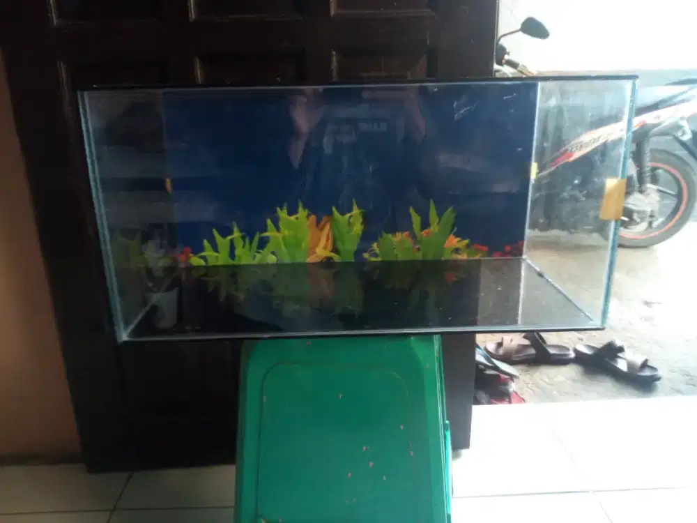 Aquarium baru 60