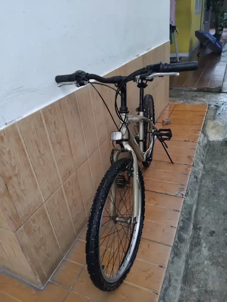 sepeda gunung polygon junior24