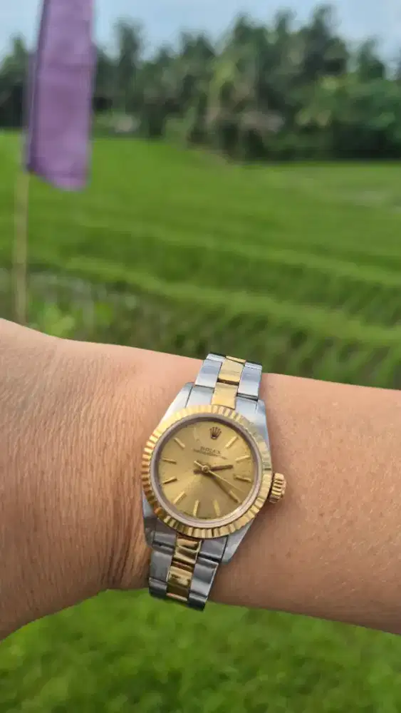 Rolex Oyster Perpetual 67193
