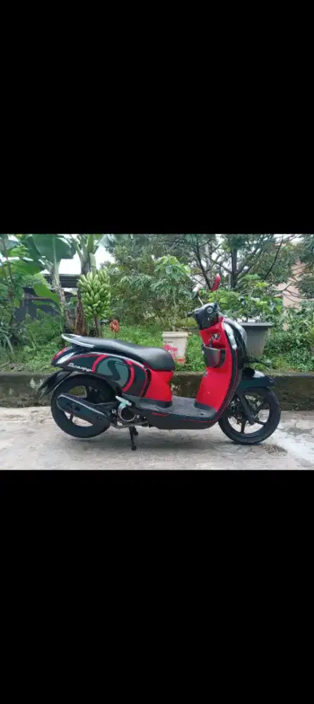 Scoopy fi 2013 pajak hidup