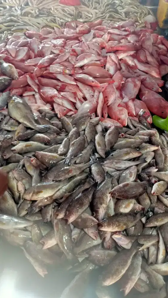 Membutuhkan karyawan