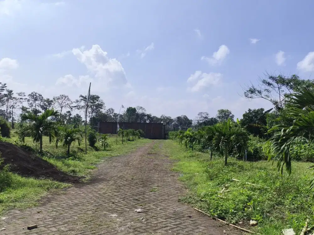 Kawasan Perumahan Sejuk Kavling Grha Aruna Lebih Untung Dari Deposito