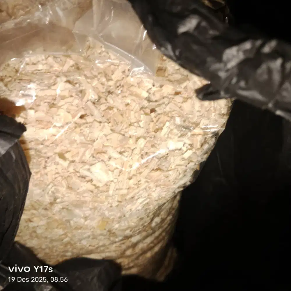 Jual pakan hamster biji bijian