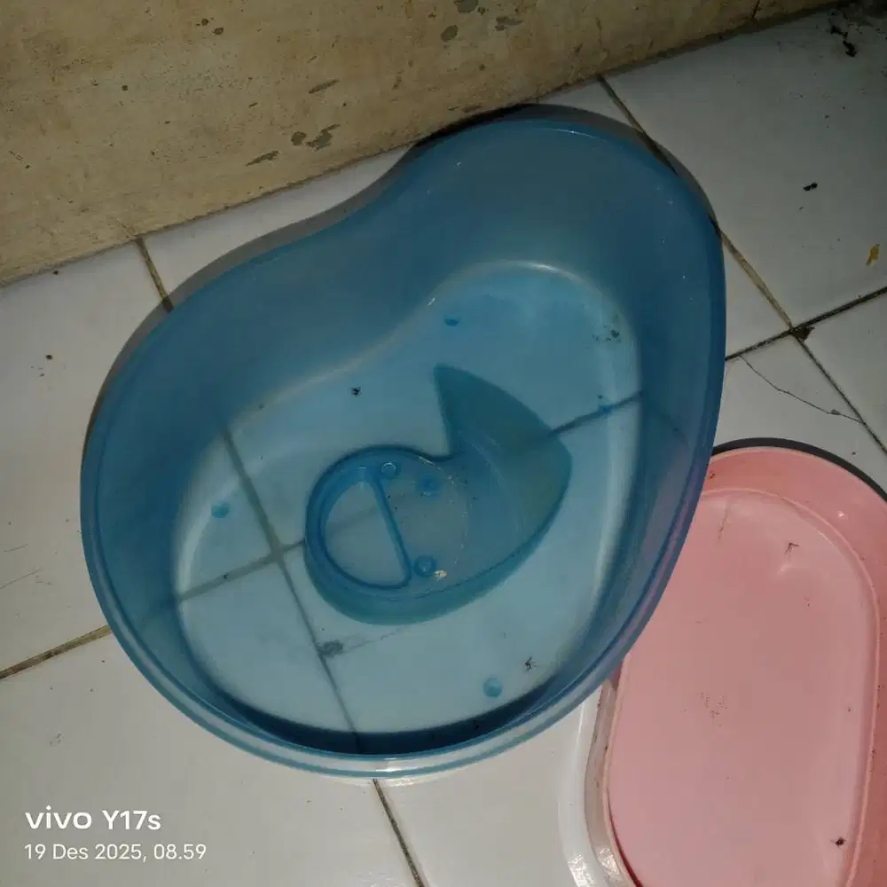 Kandang kura kura brazil dan jenis kura kura kecil lainnya