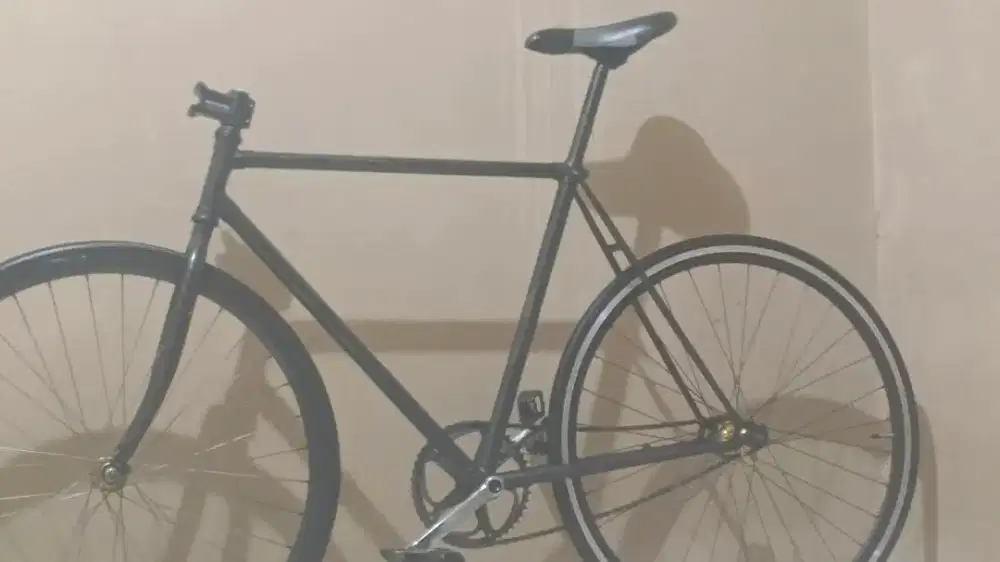 Classic rodebike Frameonly