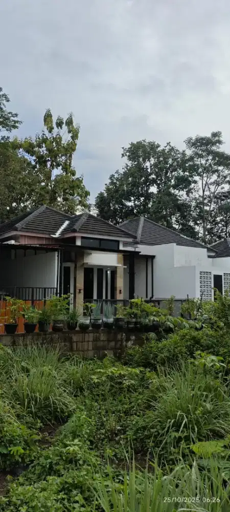 RUMAH MODERN LOKASI SEJUK ASRI AKSES MUDAH DEKAT LPMP JALAN SOLO