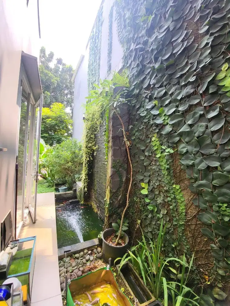 Rumah Dekat Dgn Sekolah Global Jaya di Bintaro Tangsel Sc-15919