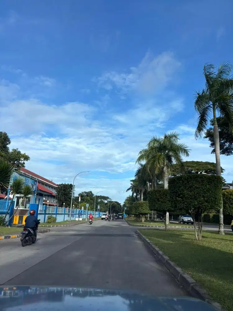 Dicari karyawan jaga stand makanan