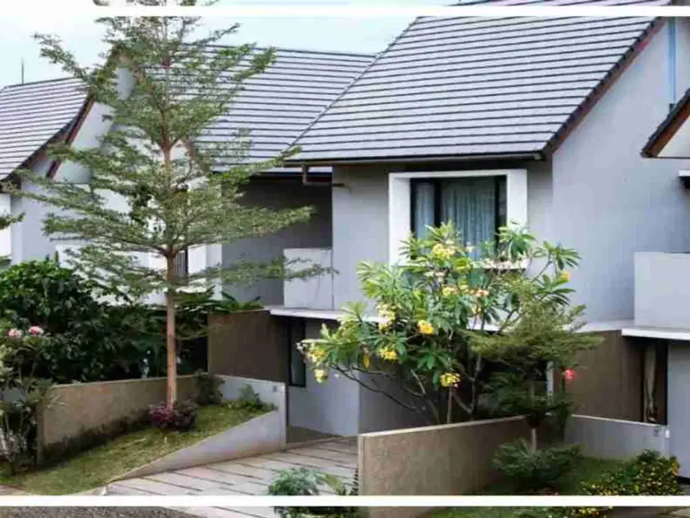 [HOOK] Rumah TOWN HOUSE Di Bintaro (KOLAM RENANG) Jakarta Selatan