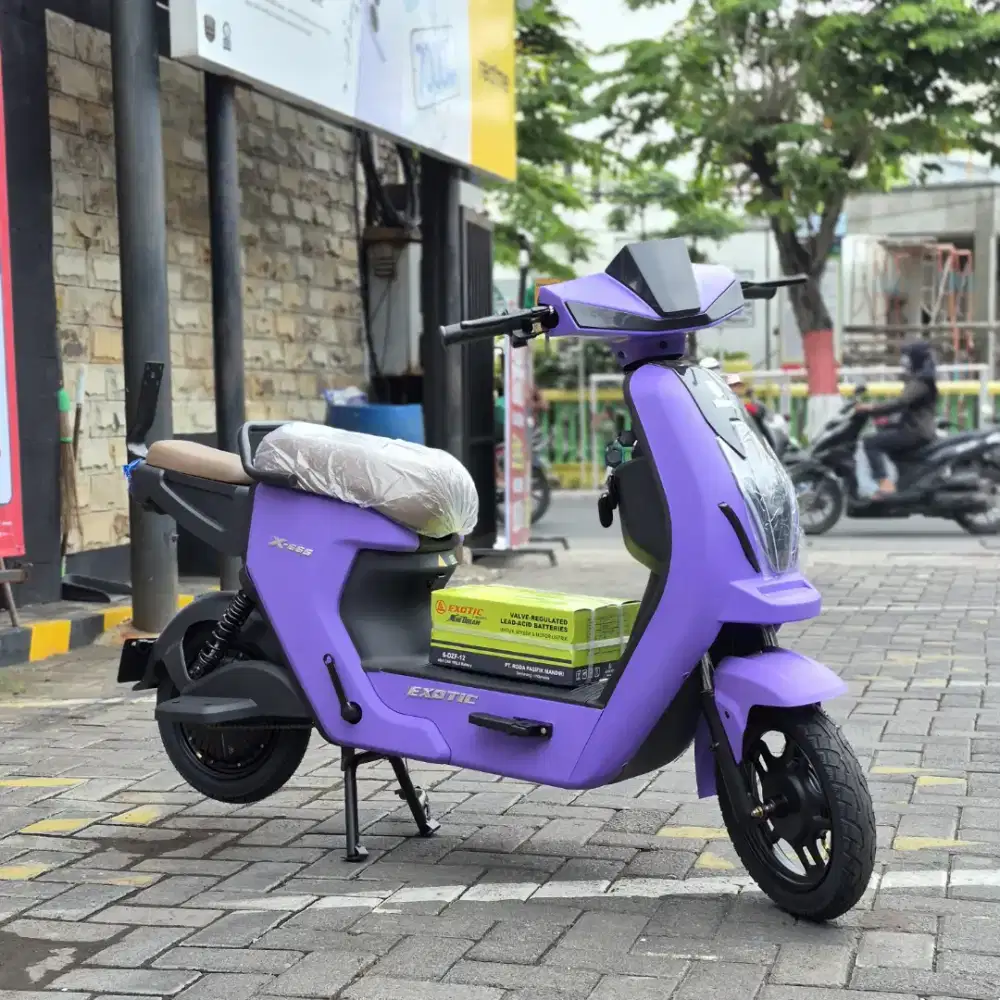 RUEDY WARNA BARU HARGA 3JUTAAN SAJA EXOTIC X665