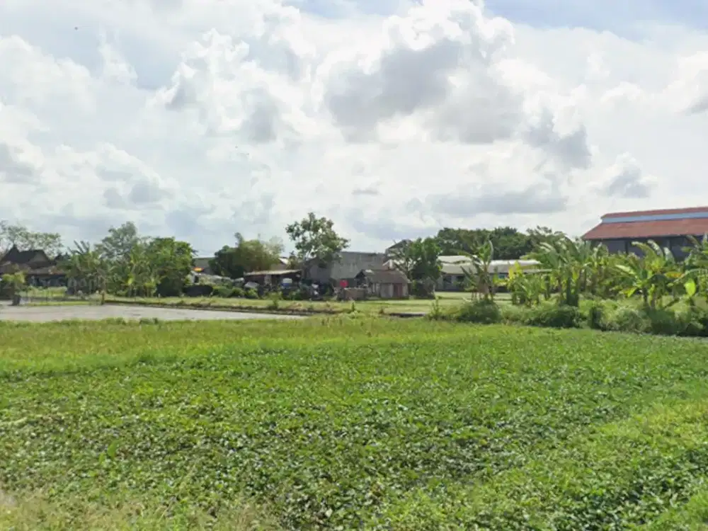 DIJUAL 2 BIDANG TANAH DENGAN BANGUNAN TOTAL LUAS 2144 M2 - BADUNG