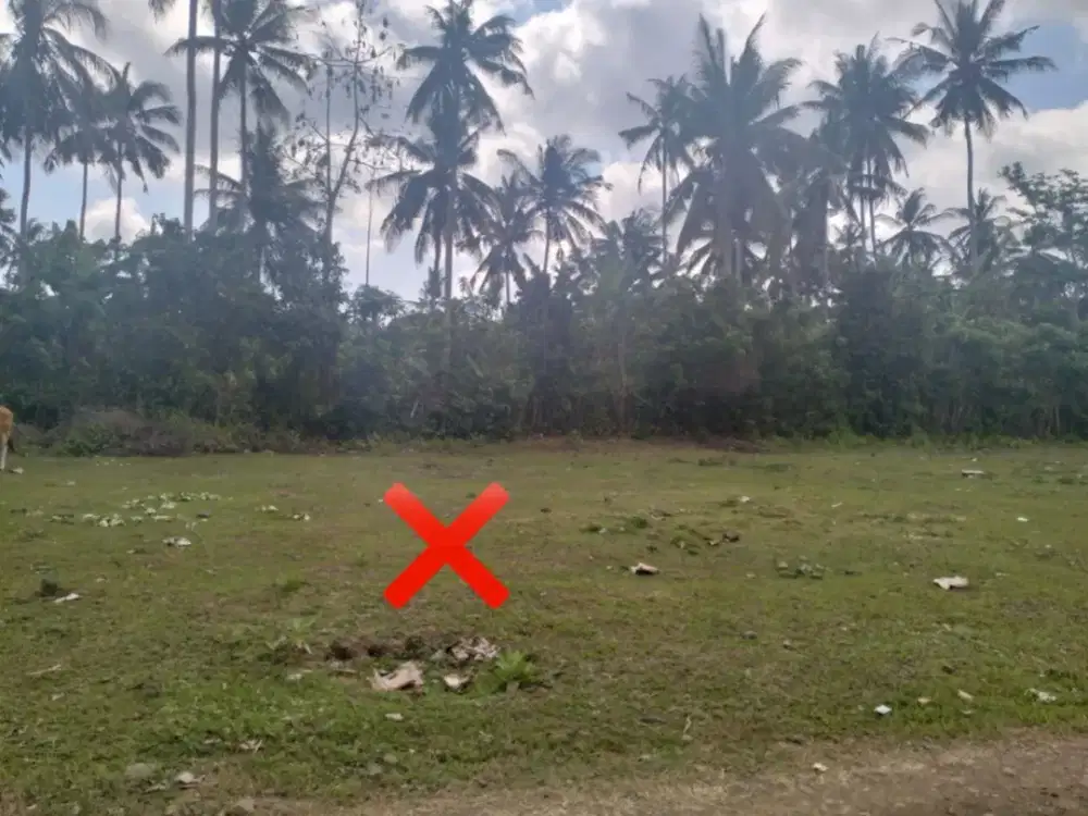 DIJUAL 2 BIDANG TANAH – KABUPATEN JEMBRANA