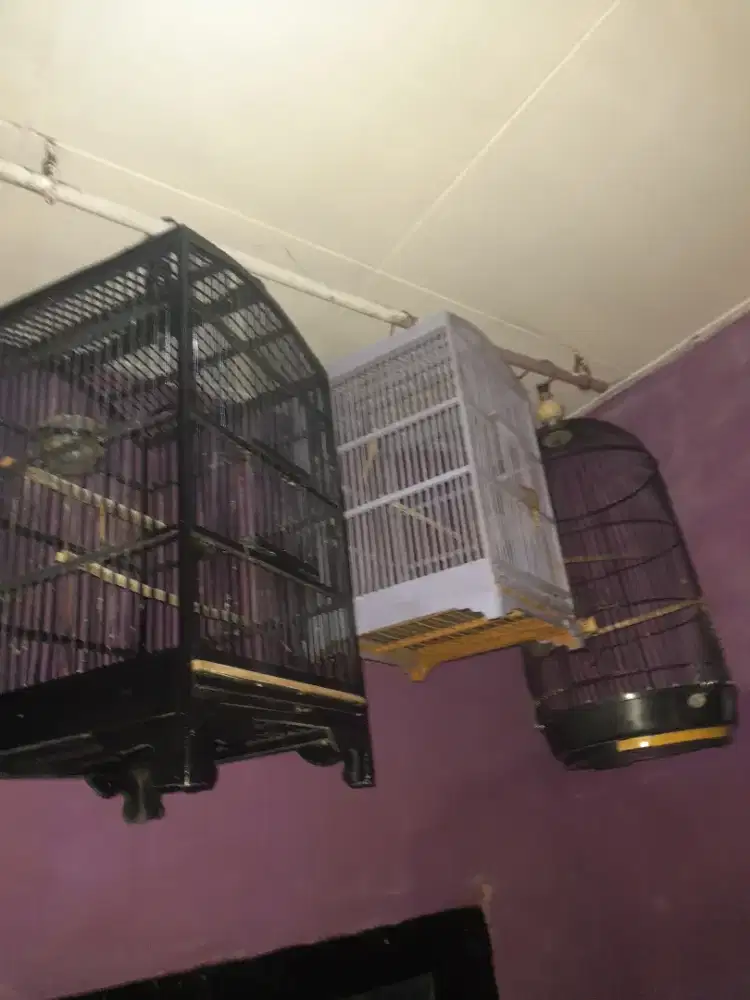 Borongan sangkar burung