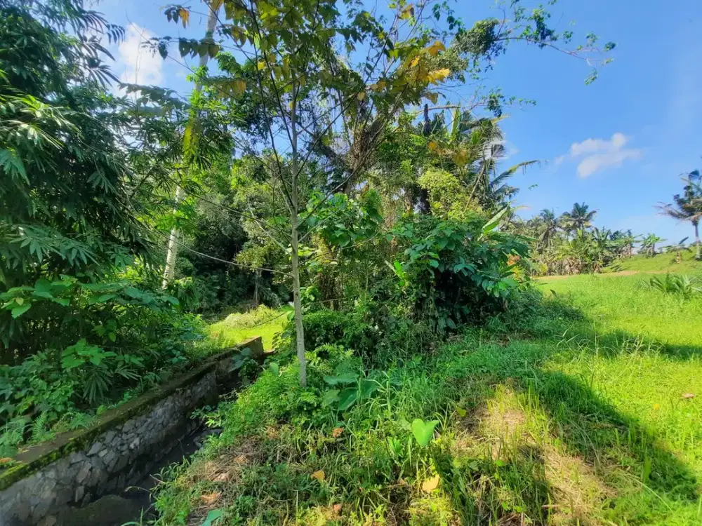 DIJUAL 1 BIDANG TANAH & BANGUNAN – KABUPATEN JEMBRANA