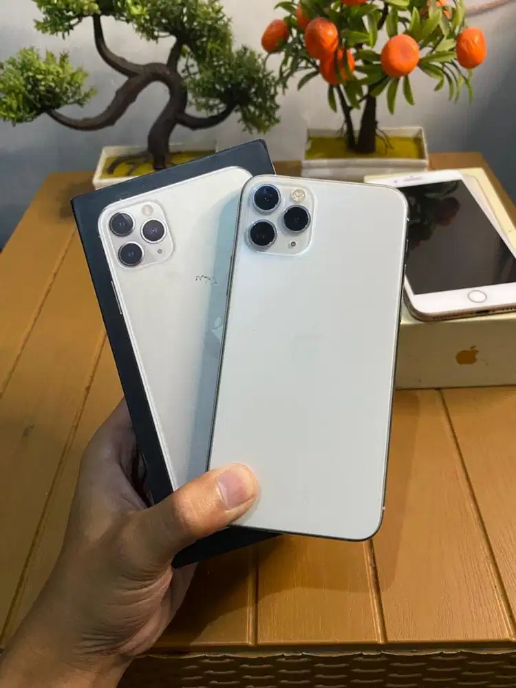 ip 11 pro ram 64 gb inter mulus