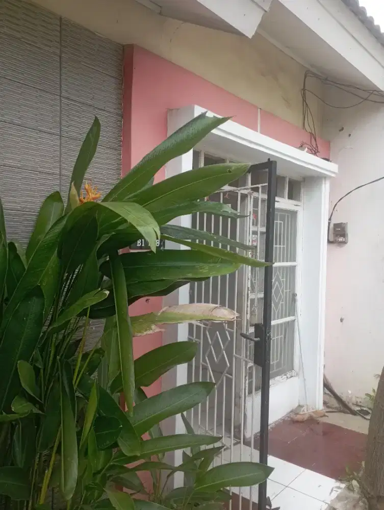 Dikontrakkan rumah bulanan bebas banjir dan letak strategis