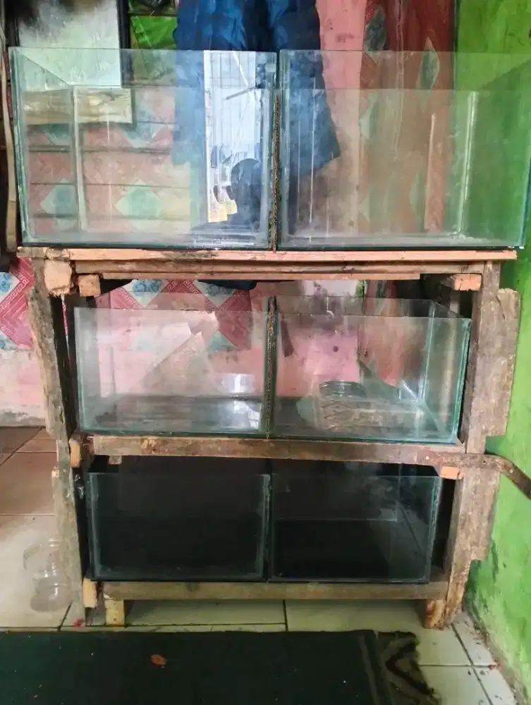 6 Aquarium P35 L25 T25 2pcs dan P30 L20 T20 4pcs