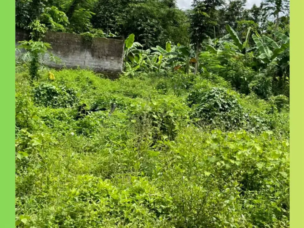Tanah Jogja Kost Area Kampus UII Kaliurang SHM Pekarangan