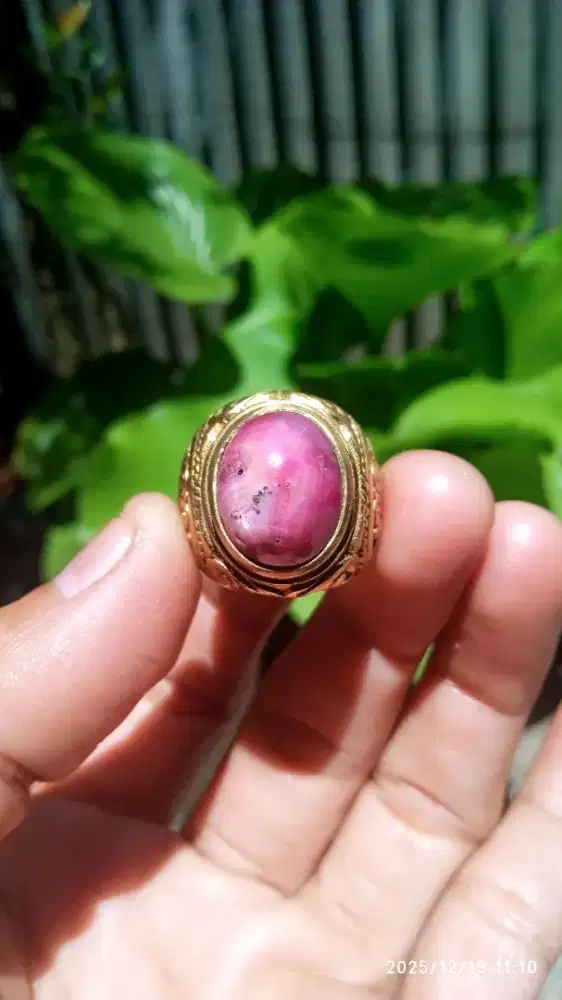 RUBY STAR BELANG BIG SIZE