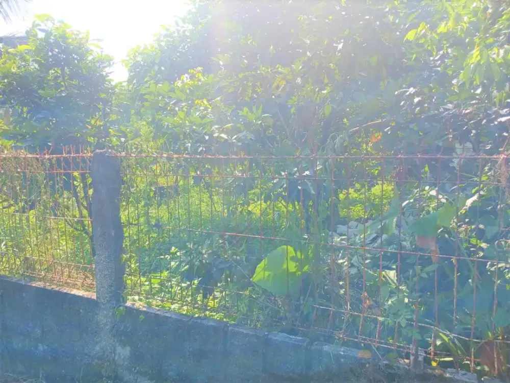 Tanah Siap Bangun 4 Menit Jl. Raya LaladonSertipikat SHM