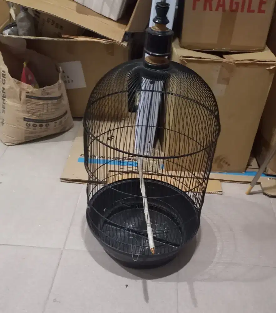 Kandang jumbo +kandang layang