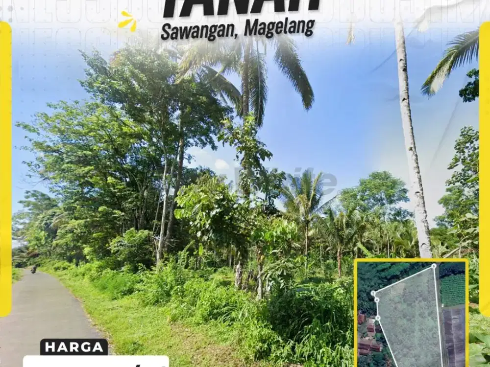 Tanah Perkebunan Buah Di Magelang Tanah Luas Dijual Harga Murah