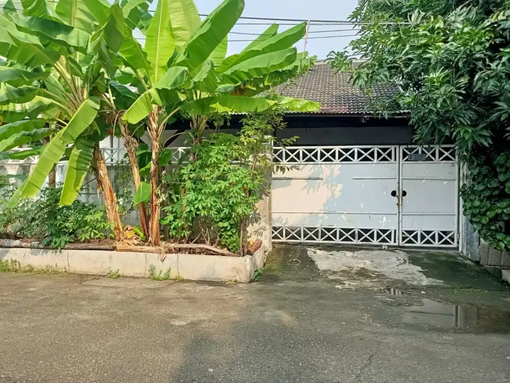 DIJUAL RUMAH TUA HITUNG TANAH DI SUNTER DANAU AGUNG TENGAH UKU 12X25 HANYA 22 JT/M2 JARANG ADA