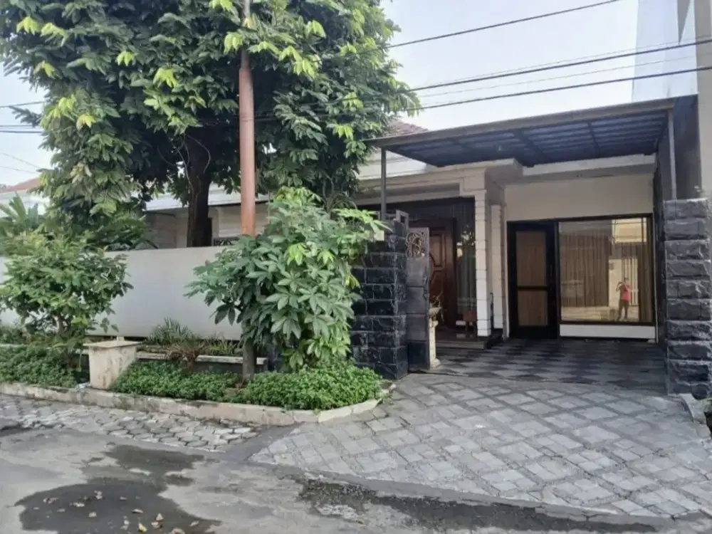 Strategis Murah Rumah Kertajaya Indah Adem Hadap Selatan