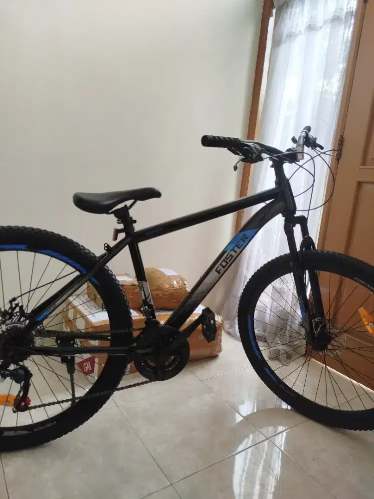 Sepeda Genio Foster